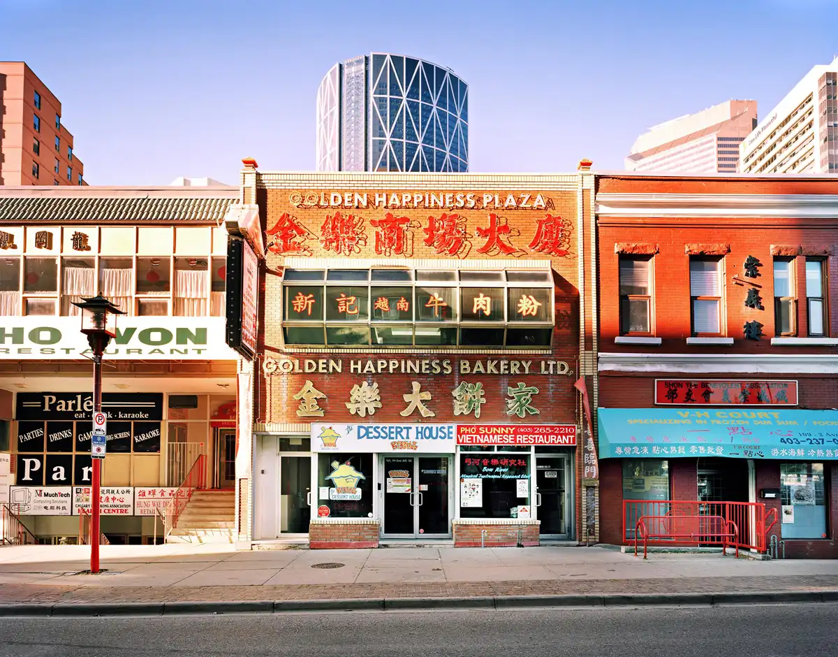 「Chinatown（唐人街歷史） 1848」Tong Yan Gaai: A North American Chinatown Vernacular